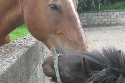 Image de Lovely House 12k from the bay of Mont Saint Michel