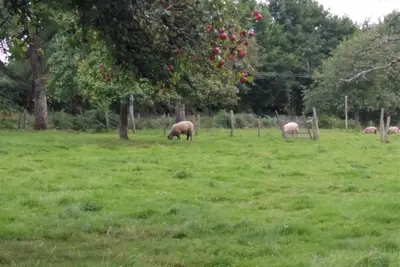 Image de Gites Les Clairets - Normandie  - Maison 2 Chambres