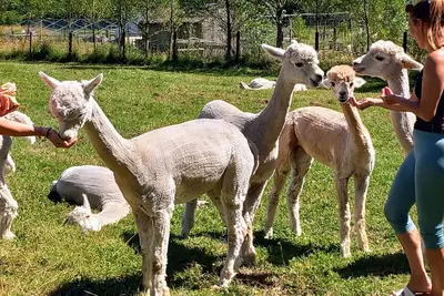 Image de Famille-Double Decker Bus-Cabine-Vue sur la campagne-Salle de bain privée