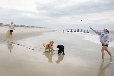 Image de Cape May short walk to the Bay Dogs Welcome!