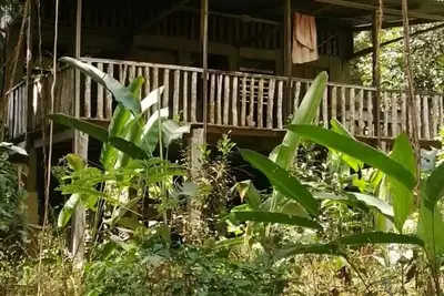 Image de Primitive living cabin next to the river, with hiking trails!