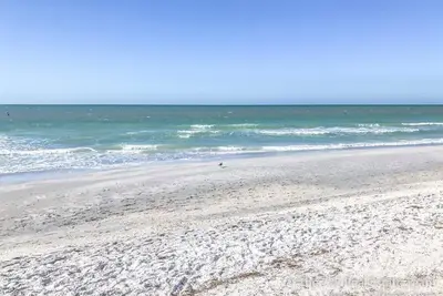 Image de New Outdoor Pool with enclosure!