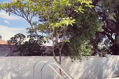 Image de Resting house with pool! near the Media Luna Spring