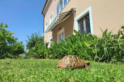 Image de Appartement de vacances avec Internet, climatisation, terrasse et jardin dans un emplacement calme