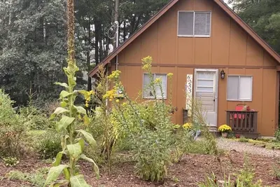 Image de Traverse City Area, Family Friendly, Waterfront, Modern Home