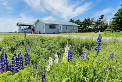 Image de The Sea Drift in Darnley! Close Twin shores and Thunder Cove Beaches!