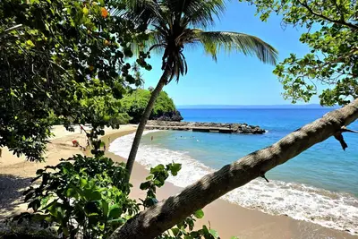 Image de Perfect Paradise, Oceanview Samana #Privatebeach#Oceanview#Parking#Starlink#Ac