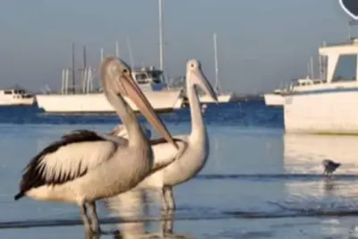 Image de Sanctuary Palm Beach