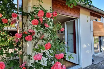 Image de Sur votre terrasse, au pied d'un chêne, . . . au calme. . . l'Alsace palpite. . !