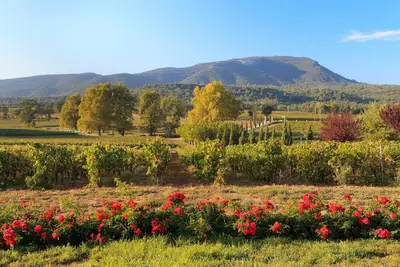 Image de Appartement \"Ugni Blanc\" 4 Pers. Au Coeur D Une Propriete Viticole De 120 Hect.