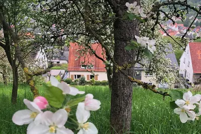 Image de Hiking/bicycle and motorcycle tours/Weserskywalk/Corvey Castle/Sababurg forest