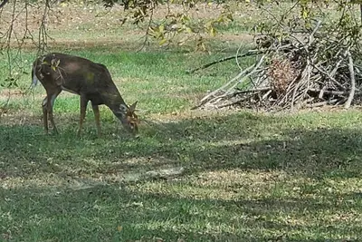 Image de Peaceful cottage in the countryside with hot tub!