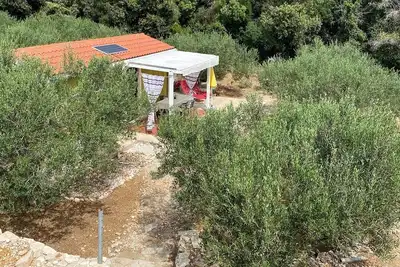 Image de Maison de pêcheur près de la mer Baie Skozanje, Hvar (K-19749)
