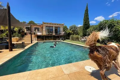 Image de Holiday home for people with dogs!