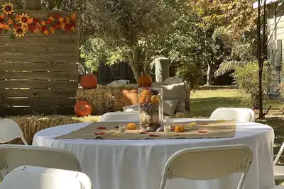 Image de Venue in the country