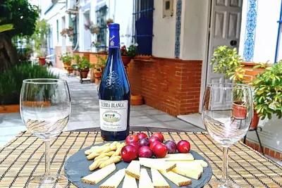 Image de Patio andalou typique, charmant, très calme et lumineux