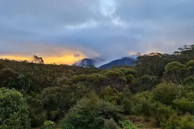 Image de Magic in Medlow