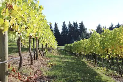 Image de Ev Charger, Vineyard, Championship Golf Course all with a Beautiful Water View!