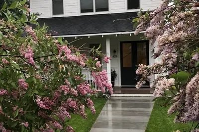 Image de Downtown Jackson Modern Home