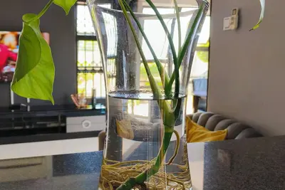 Image de A Modern home, in the heart of the city, 2 minutes to the biggest shopping mall