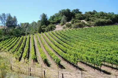 Image de Country Cottage on a beautiful Winecountry Vineyard