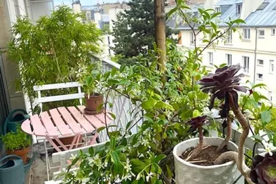 Image de Central et calme dans quartier branché et animé près de plusieurs métros