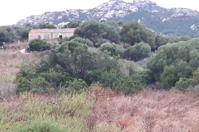 Image de Charming Countryside home near Costa Smeralda Sardinia, with beautiful sea views