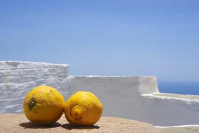 Image de The Artist House Triantaros