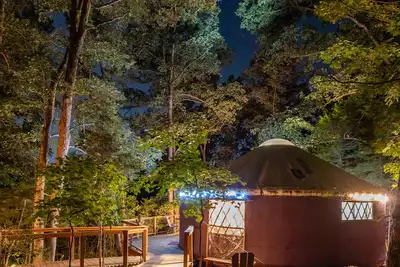 Image de Yurt Floating in the Forest