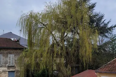 Image de Hollyday Apart Paris Saint-Brice Cdg France