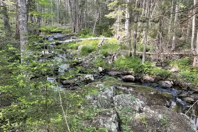 Image de Camping at the Ice-Shack