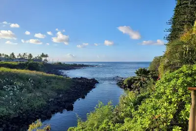 Image de View Sea Turtles From Your Oceanfront Deck-Ac-Outdoor Shower-Free Access to Gym