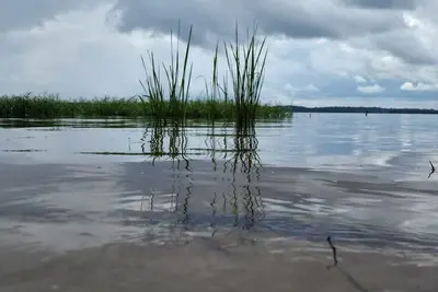 Image de Awesome lake property