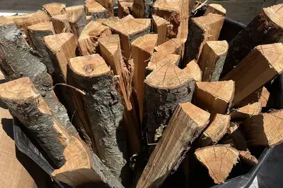 Image de Boonies disc golf course