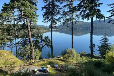 Image de Waterfront! Tiny House Sweet-Suite perched in the forest on the oceanfront.