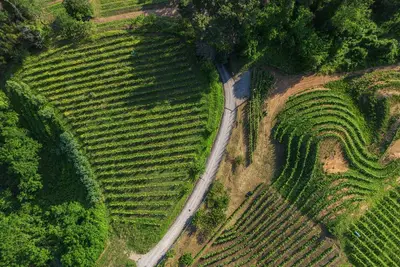 Image de Appartement à Camaiore avec 2 chambres à coucher, 4 couchages
