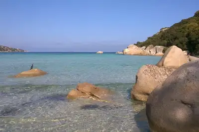 Image de Belle Villa tout confort ideal pour des vacances en Corse du sud