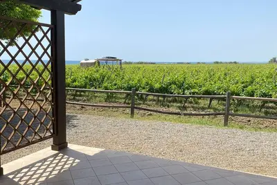 Image de cottage nestled in a vineyard on the sea
