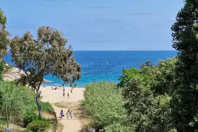 Image de Appartement T3 à Cavalaire-sur-Mer - Terrasse vue mer et parking