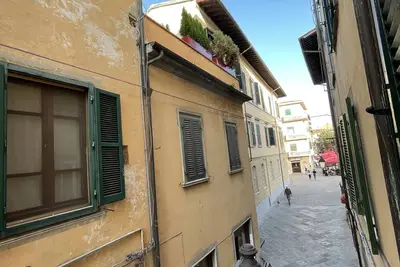 Image de Artemisia Pisa