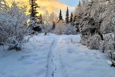 Image de Creekside Home: Wild Alaska Living Centrally Locat