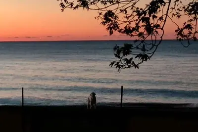 Image de Walk out your door and you are on the beach ⛱️