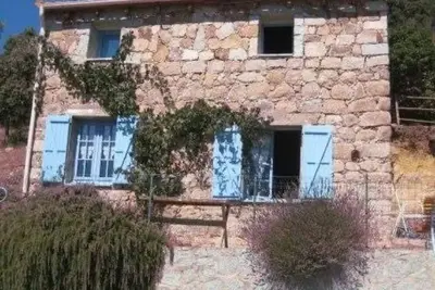 Image de Maison familiale individuelle traditionnelle en pierre avec jardin ombragé