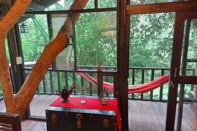 Image de Treehouse