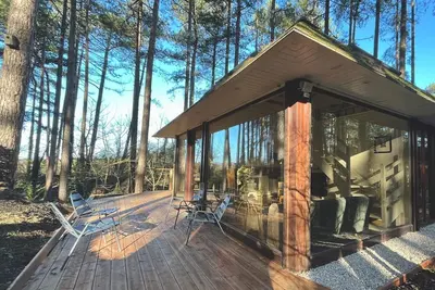 Image de Maison forestière individuelle au cœur des pins