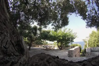 Image de Maison de vacances entourée d'oliviers à distance de marche de la plage