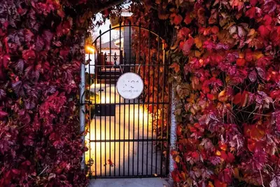 Image de Family home downtown w/2 King Beds plus Twins