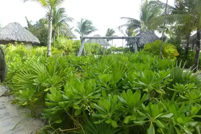 Image de Five diamond resort hotel offers luxury experience from start to finnish