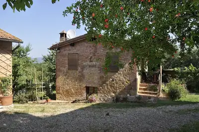 Apartment/ Flat - Sovicille