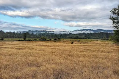 Image de Relax and recharge in a place that feels remote but it just minutes from town.